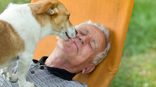 ペットセラピーに聞く 猫より犬がオススメ ワンちゃんが発揮する高齢者の健康効果 週刊女性prime