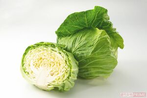 今記事の主役「冬キャベツ」(撮影/廣瀬靖士)