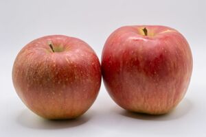 ※写真はイメージです