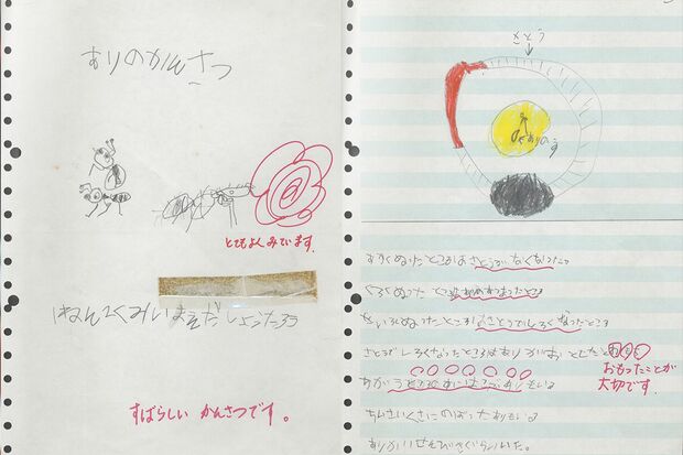 小学校1年生で「アリの観察」をまとめた当時のレポートを見せてもらいました