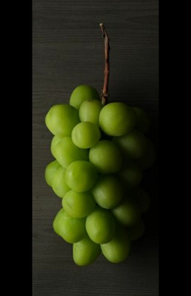 乙女座は…ぶどう