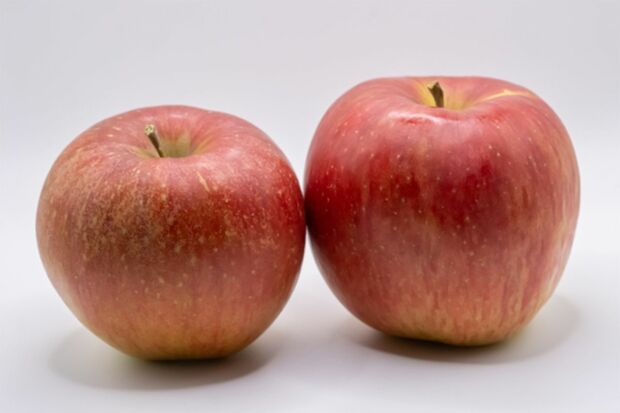 ※写真はイメージです