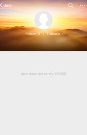 小島瑠璃子の『weibo』アカウントをクリックすると表示される画面(2020年8月5日現在)