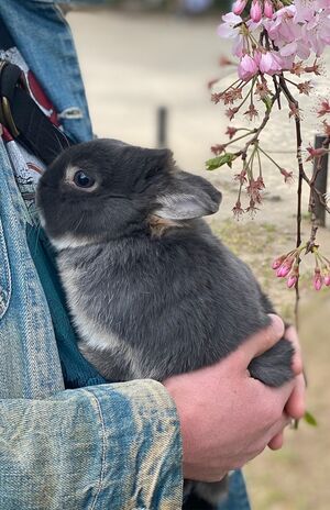 ひぐち君「家でも召使いです（笑）」（C）ひぐち君