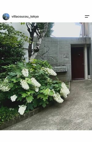 鈴木京香が“管理人”の「ヴィラ・クゥクゥ」(公式インスタより)