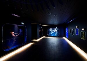 神秘的な世界へ。人気の展示施設「クラゲライフ」／鴨川シーワールド「ナイトアドベンチャー」