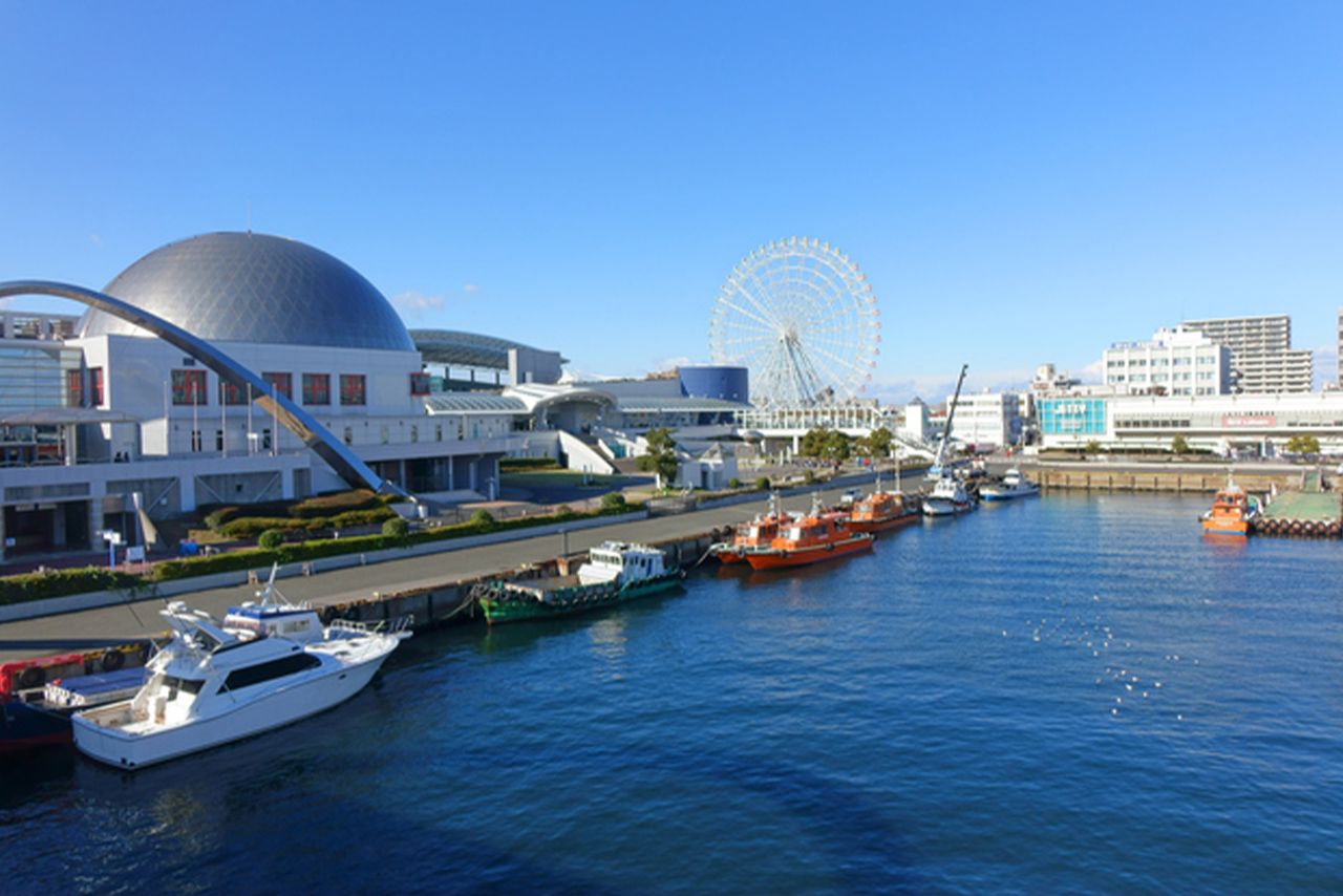 名古屋港水族館、値上げ検討と老朽化の真実