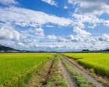 「U字工事」「つぶやきシロー」がコンプレックスの栃…