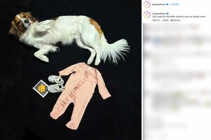 2024年12月29日、真美子夫人の妊娠が発表された(大谷翔平選手のインスタグラムより)