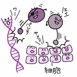  老化や病気の原因になる悪玉活性酸素