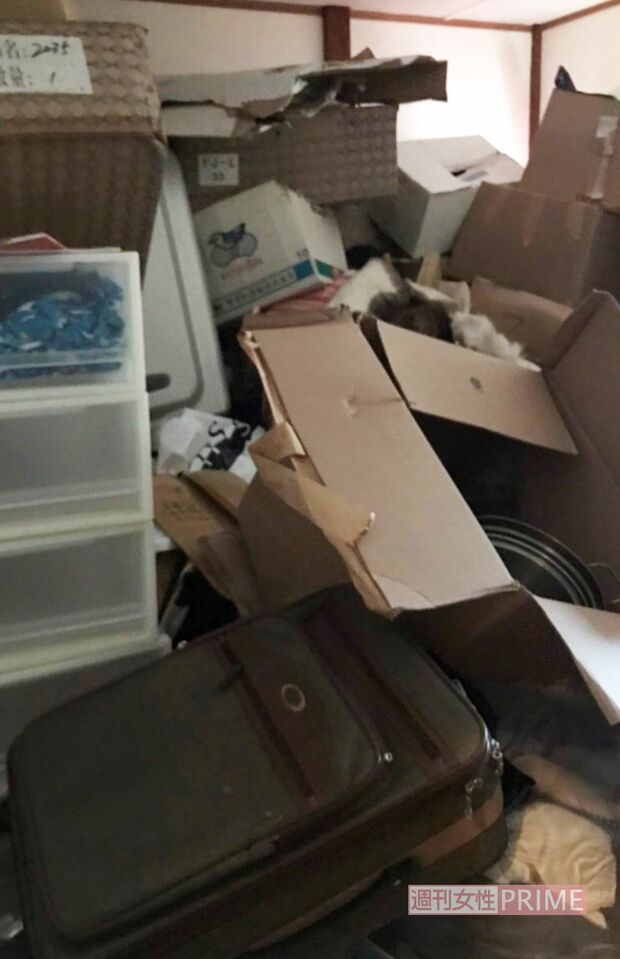 仲本工事さんの自宅がゴミ屋敷に…