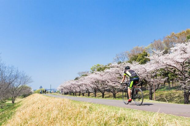 散歩やサイクリングにぴったり