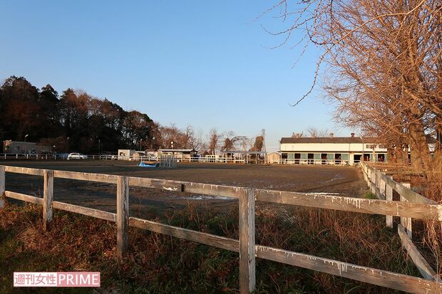 容疑者が乗馬用の馬を預けていた乗馬クラブ