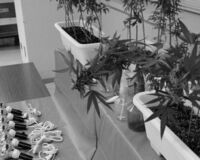 小6男児が大麻吸引 薬物使用の低年齢化にLINEの普及