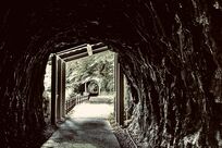 『東大怪談』日本最高峰の頭脳でも説明できない恐怖体験、東大出身の著者が感じた“本当の怖さ”