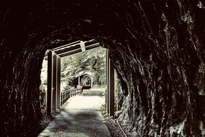 ※写真はイメージです