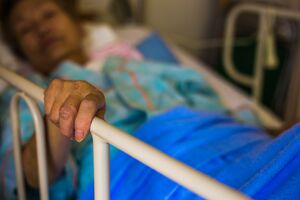 写真はイメージです