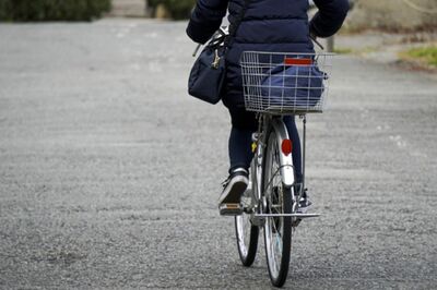 ※写真はイメージです