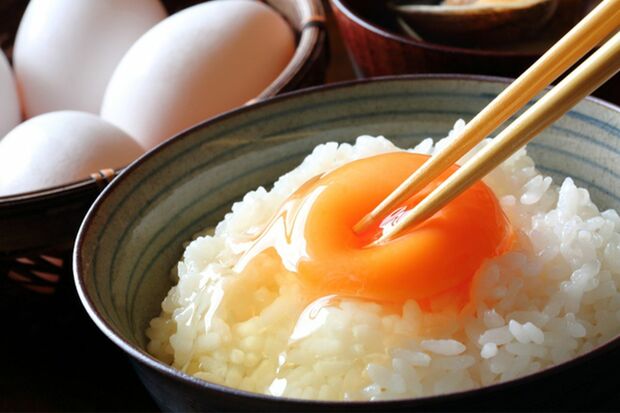 ※写真はイメージです