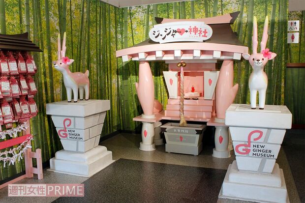 恋愛成就や夫婦円満など、ホットな願いが叶うジンジャー神社。おみくじや絵馬、お守りも