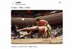 端正なルックスと筋骨隆々とした身体で「令和のウルフ」と話題の新力士・大森（画家として活動する兄・大森慶宣さんのXより）