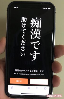 デジポリスの画面。周囲に見せるか、タップすれば大音声が流れる