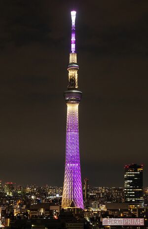 東京スカイツリー10周年 パナソニック担当者に聞いた 夜景に映えるライトアップの秘密 週刊女性prime