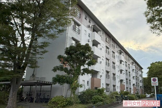 神奈川・茅ヶ崎で、床下から男性の遺体が発見された団地