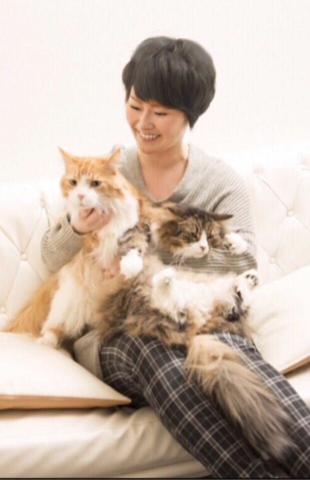 結婚生活2週間で離婚を発表した遠野なぎこがブログにアップしていた猫との写真(2023年)