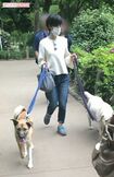 慣れた足どりでゆっくりと公園内を散歩する滝川クリステル