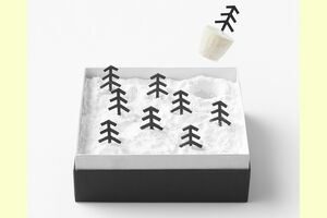 『雪降る森のひと口チーズケーキ/neyuki9個』2800円（送料別）