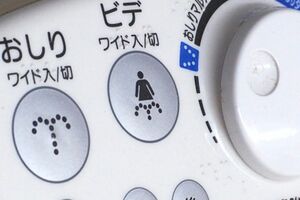 写真はイメージです