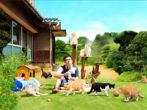 『ねこあつめの家』2017年4月8日ロードショー　出演／伊藤淳史、忽那汐里ほか　原作・原案／ ねこあつめ（Hit-Point）(c)2017 Hit-Point／『映画ねこあつめ』製作委員会