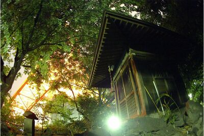 写真はイメージです