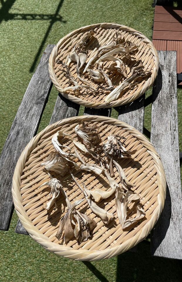 1.天日干しで乾燥させる