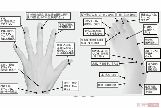 手と足の治療マップ