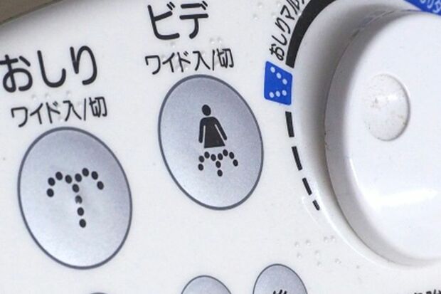 写真はイメージです