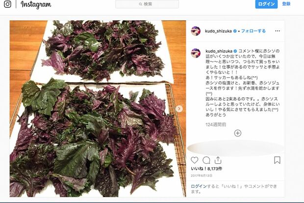 インスタにアップされるたびに炎上した「工藤静香レシピコレクション」（インスタグラムより））