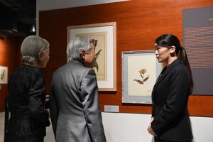 眞子さんが結婚まで勤めていた都内の博物館を上皇ご夫妻が訪問されたことも('17年12月)