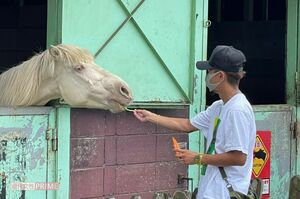 女性と牧場デートを楽しんでいた大野智