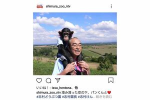 惜しまれる志村けんさんの急逝(『天才!志村どうぶつ園』SNSより)