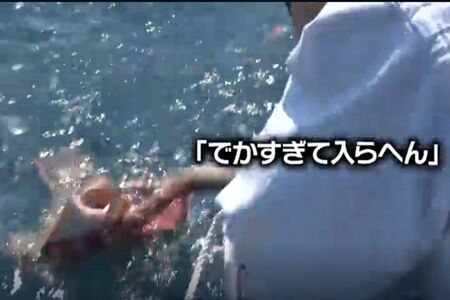 鉄腕DASHで釣れたヒラメが「不自然に大きすぎる」と話題に（TVerより）