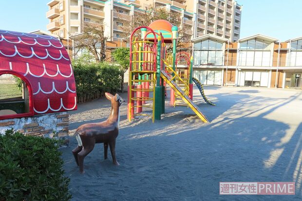 理事長を務めていた幼稚園