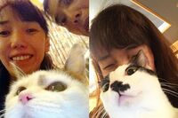 ねこ好き・太田光代「無我夢中でミルクをあげていたらペットロスが止まったの」