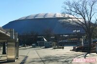 キスマイ宮田俊哉 “来月は自分が立つ会場” でガチのオタ活、グッズの行列に並ぶ