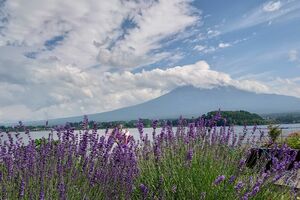 バスは東西南北どこへ向かうのか。綿密に計画を立てて行く旅もいいけれど、意外性を楽しむのが大人の余裕