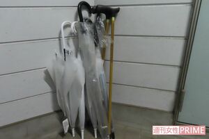 自宅アパートの玄関前には容疑者の母親が使っていたとみられる杖が2本あった