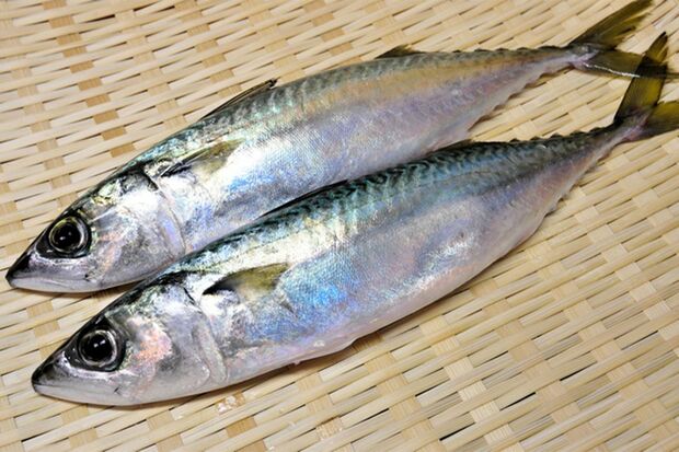 ビタミンB12を多く含む食材「魚介類」