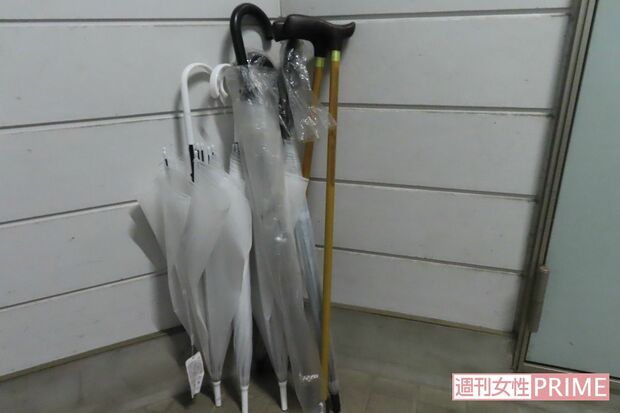 自宅アパートの玄関前には容疑者の母親が使っていたとみられる杖が2本あった