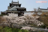 『麒麟がくる』本気の聖地巡礼へ!明智城、光秀寺ほかで“リアル光秀”に思いを馳せる